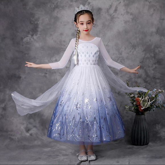 Luxury Frozen Elsa Sparkly Costume Dress 5018 - Picture 3 of 8